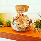 お客様からのお祝い