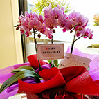 お客様からのお祝い